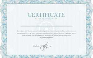 DELL全国十佳合作伙伴